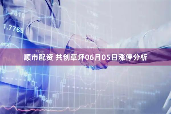 顺市配资 共创草坪06月05日涨停分析
