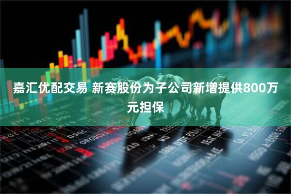 嘉汇优配交易 新赛股份为子公司新增提供800万元担保