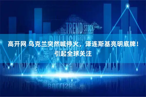 高开网 乌克兰突然喊停火，泽连斯基亮明底牌！引起全球关注