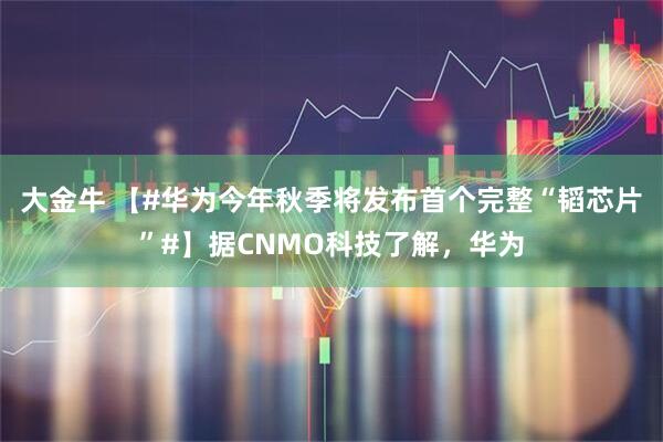 大金牛 【#华为今年秋季将发布首个完整“韬芯片”#】据CNMO科技了解，华为